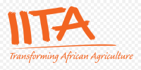 Instituto Internacional de Agricultura Tropical (IITA)